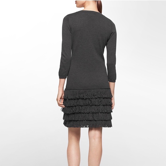 Calvin Klein Sweater Dress w/ Fringe - Gorgeous! - Picture 2 of 6